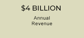 $4 Billion - Annual Revenue